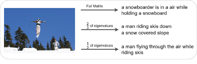 Figure 1 for Diverse and Styled Image Captioning Using SVD-Based Mixture of Recurrent Experts