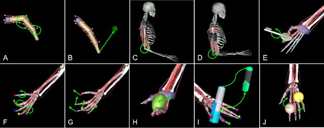 Figure 1 for MyoSuite -- A contact-rich simulation suite for musculoskeletal motor control