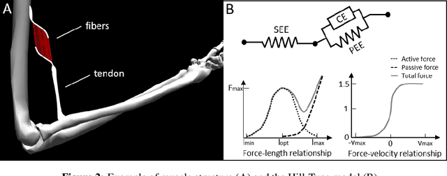 Figure 3 for MyoSuite -- A contact-rich simulation suite for musculoskeletal motor control