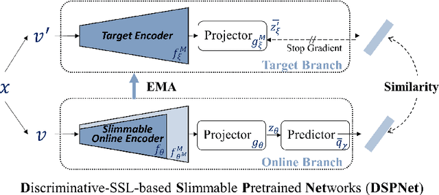 Figure 4 for DSPNet: Towards Slimmable Pretrained Networks based on Discriminative Self-supervised Learning