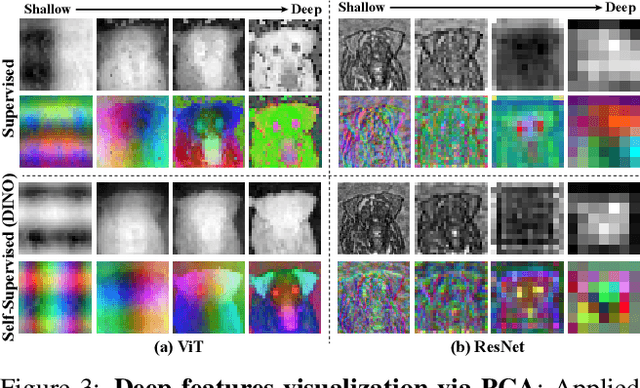 Figure 4 for Deep ViT Features as Dense Visual Descriptors
