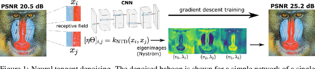 Figure 1 for CNN Denoisers as Non-Local Filters: The Neural Tangent Denoiser