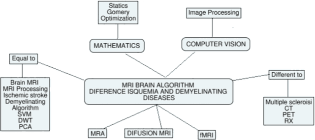 Figure 3 for MRI Images, Brain Lesions and Deep Learning