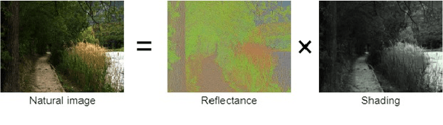 Figure 2 for Self-Supervised Intrinsic Image Decomposition Network Considering Reflectance Consistency