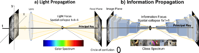 Figure 1 for U(1) Symmetry-breaking Observed in Generic CNN Bottleneck Layers