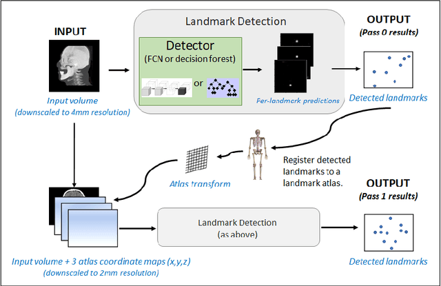 Figure 1 for Attaining human-level performance with atlas location autocontext for anatomical landmark detection in 3D CT data