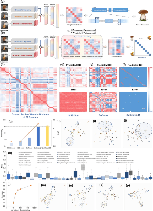 Figure 2 for Taxonomy and evolution predicting using deep learning in images