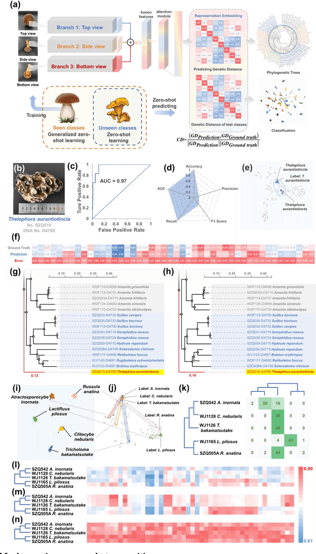 Figure 4 for Taxonomy and evolution predicting using deep learning in images