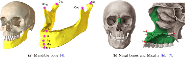 Figure 2 for Relational Reasoning Network (RRN) for Anatomical Landmarking