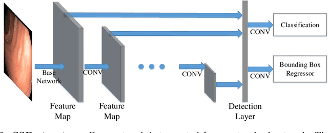 Figure 3 for Colonoscopy Polyp Detection and Classification: Dataset Creation and Comparative Evaluations