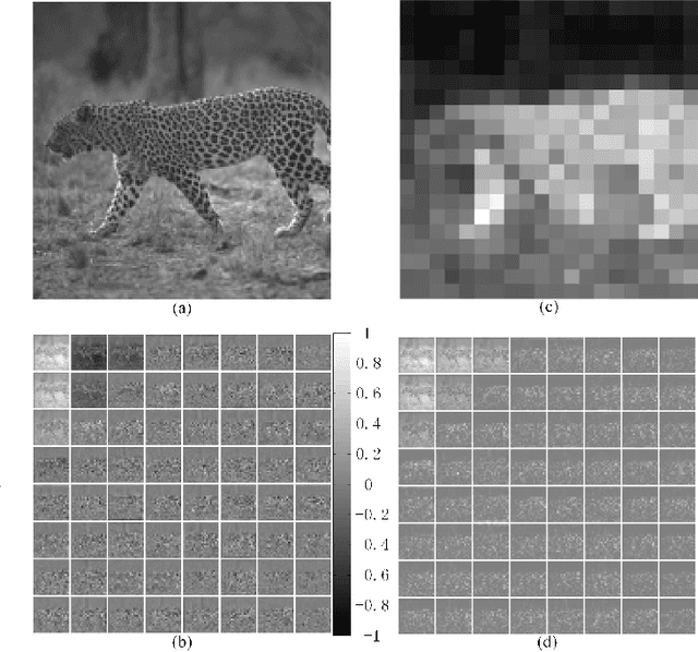 Figure 3 for Virtual Codec Supervised Re-Sampling Network for Image Compression