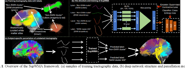 Figure 1 for SupWMA: Consistent and Efficient Tractography Parcellation of Superficial White Matter with Deep Learning