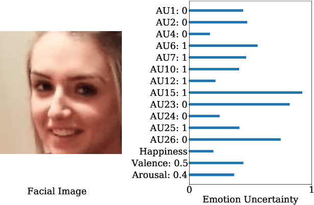 Figure 1 for Towards Better Uncertainty: Iterative Training of Efficient Networks for Multitask Emotion Recognition