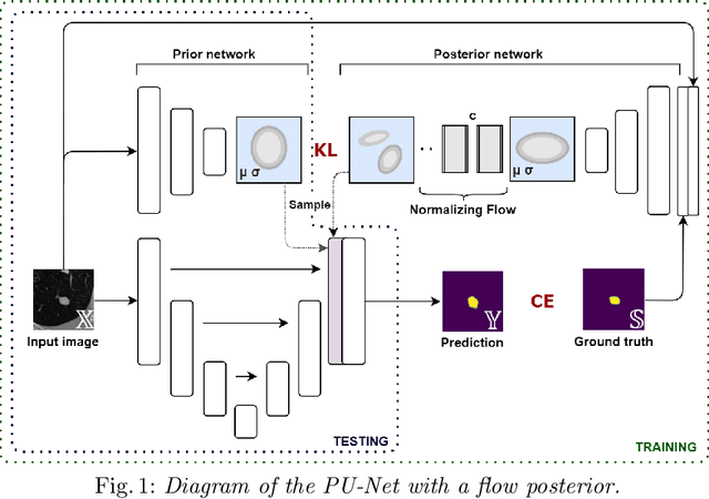 Figure 1 for Improving Aleatoric Uncertainty Quantification in Multi-Annotated Medical ImageSegmentation with Normalizing Flows