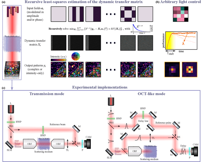 Figure 1 for Online learning of the transfer matrix of dynamic scattering media: wavefront shaping meets multidimensional time series