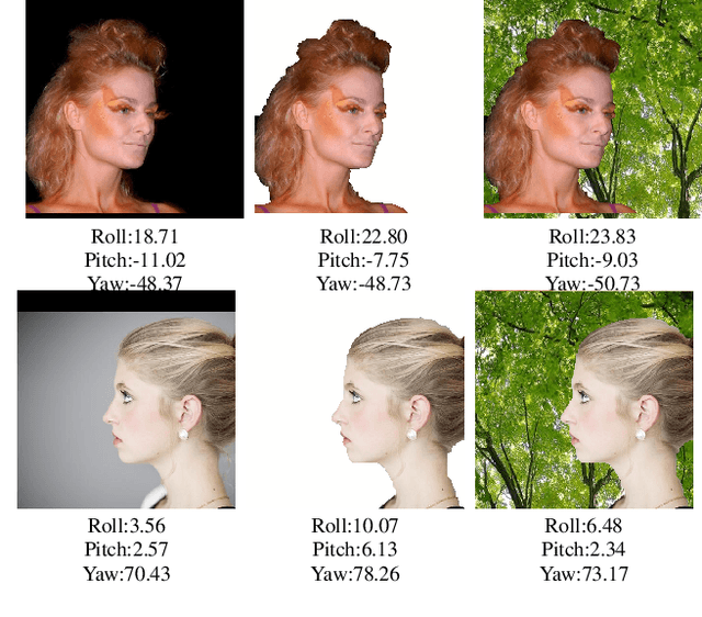 Figure 1 for Improving Head Pose Estimation with a Combined Loss and Bounding Box Margin Adjustment