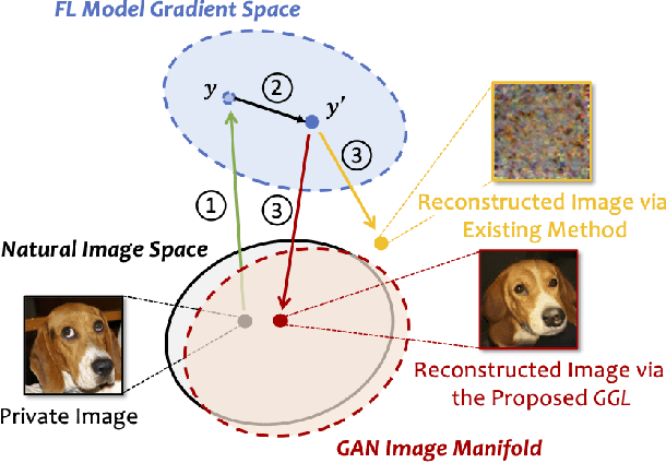 Figure 1 for Auditing Privacy Defenses in Federated Learning via Generative Gradient Leakage