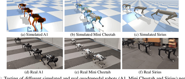 Figure 1 for GenLoco: Generalized Locomotion Controllers for Quadrupedal Robots