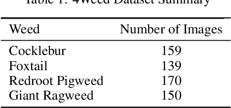 Figure 2 for 4Weed Dataset: Annotated Imagery Weeds Dataset