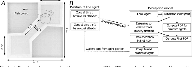 Figure 1 for How to Blend a Robot within a Group of Zebrafish: Achieving Social Acceptance through Real-time Calibration of a Multi-level Behavioural Model