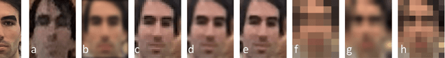 Figure 1 for Face Recognition in Low Quality Images: A Survey