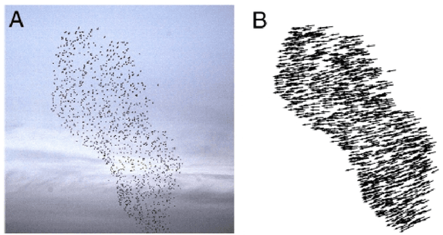 Figure 3 for Do not trust the neighbors! Adversarial Metric Learning for Self-Supervised Scene Flow Estimation