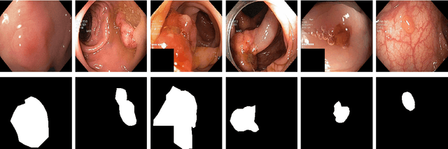 Figure 3 for SinGAN-Seg: Synthetic Training Data Generation for Medical Image Segmentation