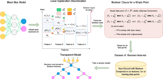 Figure 1 for Learning Global Transparent Models from Local Contrastive Explanations