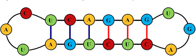 Figure 3 for RNA-2QCFA: Evolving Two-way Quantum Finite Automata with Classical States for RNA Secondary Structures