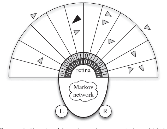 Figure 1 for Predator confusion is sufficient to evolve swarming behavior