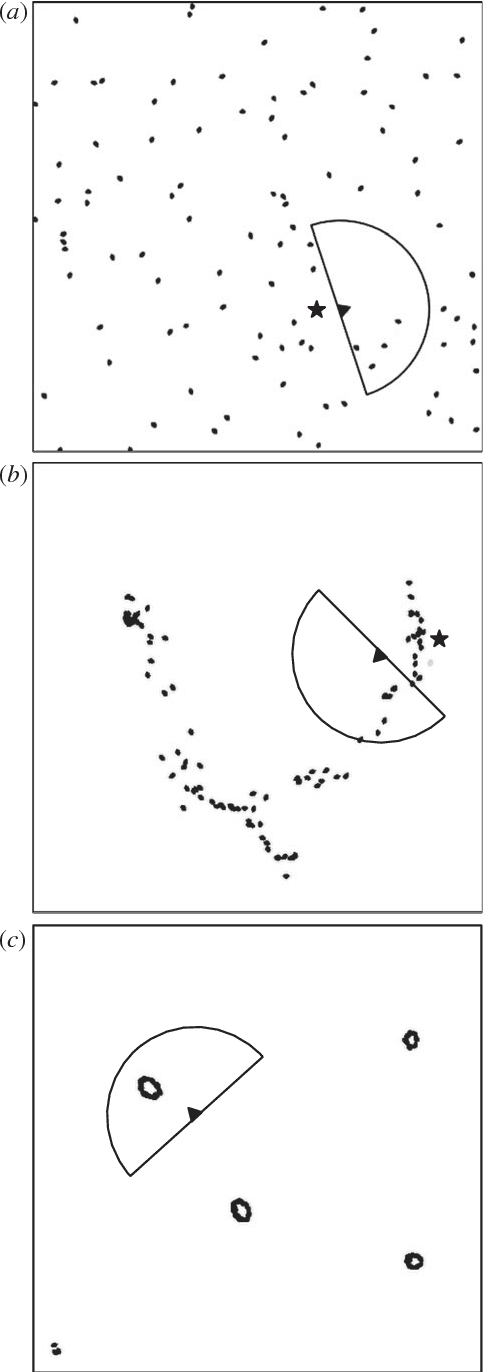 Figure 3 for Predator confusion is sufficient to evolve swarming behavior