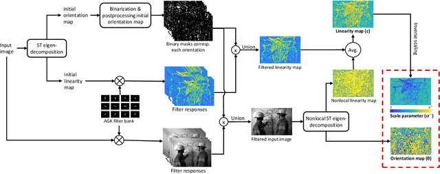 Figure 1 for Nonlocal Adaptive Direction-Guided Structure Tensor Total Variation For Image Recovery