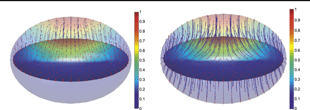 Figure 2 for Functional Currents : a new mathematical tool to model and analyse functional shapes