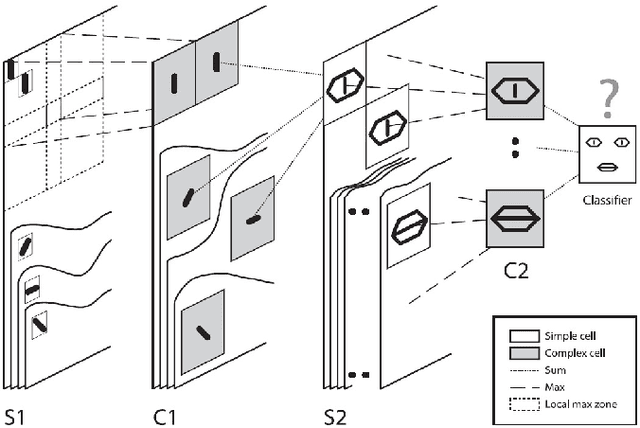 Figure 1 for Acquisition of Visual Features Through Probabilistic Spike-Timing-Dependent Plasticity