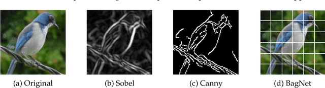 Figure 1 for Combining Diverse Feature Priors