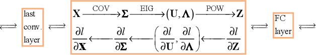 Figure 3 for Deep CNNs Meet Global Covariance Pooling: Better Representation and Generalization