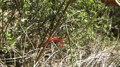 Figure 3 for It's Moving! A Probabilistic Model for Causal Motion Segmentation in Moving Camera Videos