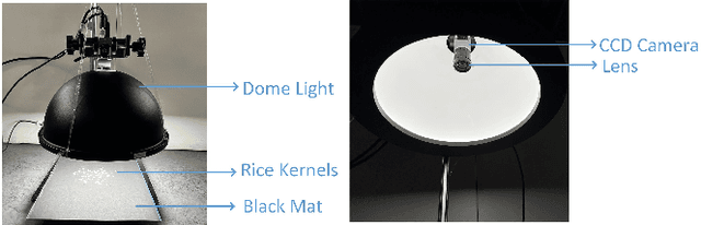 Figure 4 for Vision-Based Defect Classification and Weight Estimation of Rice Kernels