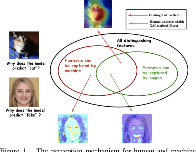 Figure 1 for Towards Human-Understandable Visual Explanations:Imperceptible High-frequency Cues Can Better Be Removed