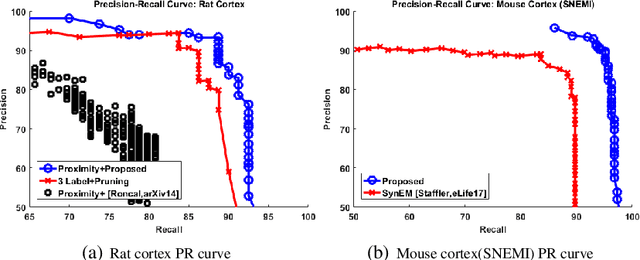 Figure 3 for Detecting Synapse Location and Connectivity by Signed Proximity Estimation and Pruning with Deep Nets