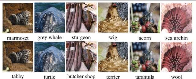 Figure 3 for Fast Feature Fool: A data independent approach to universal adversarial perturbations