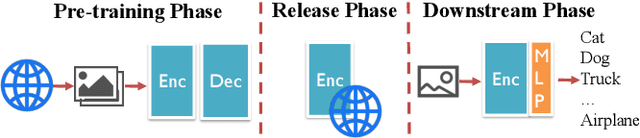 Figure 1 for Backdoor Attacks in the Supply Chain of Masked Image Modeling