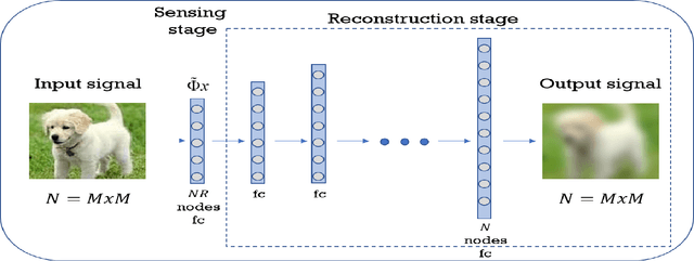 Figure 1 for Deep Learning of Compressed Sensing Operators with Structural Similarity Loss