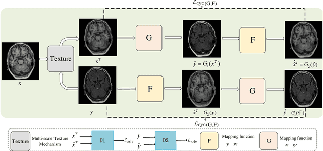 Figure 1 for Multi-Texture GAN: Exploring the Multi-Scale Texture Translation for Brain MR Images