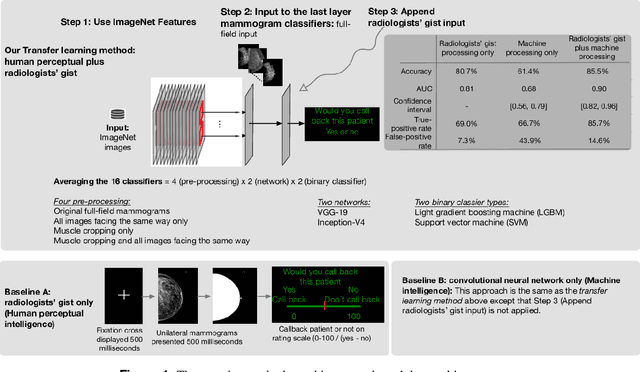 Figure 1 for Human Gist Processing Augments Deep Learning Breast Cancer Risk Assessment