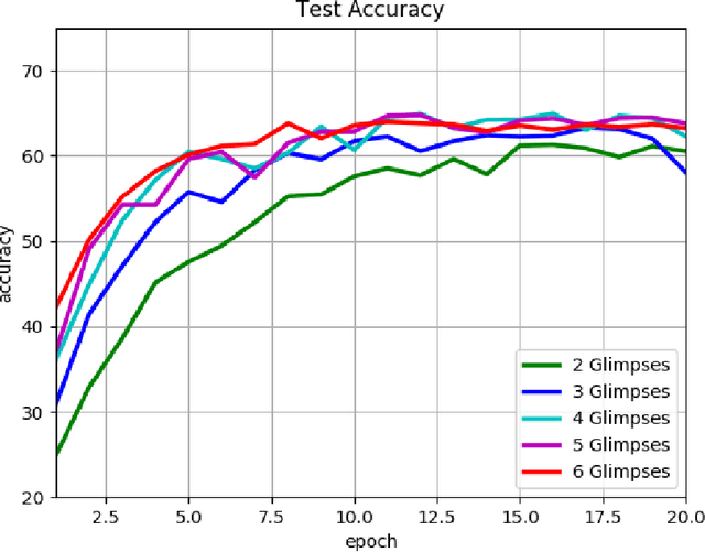 Figure 4 for Recurrent Soft Attention Model for Common Object Recognition