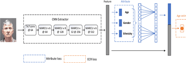 Figure 4 for A Demographic Attribute Guided Approach to Age Estimation