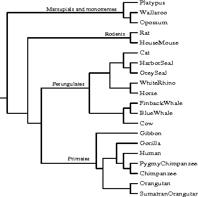 Figure 3 for The similarity metric