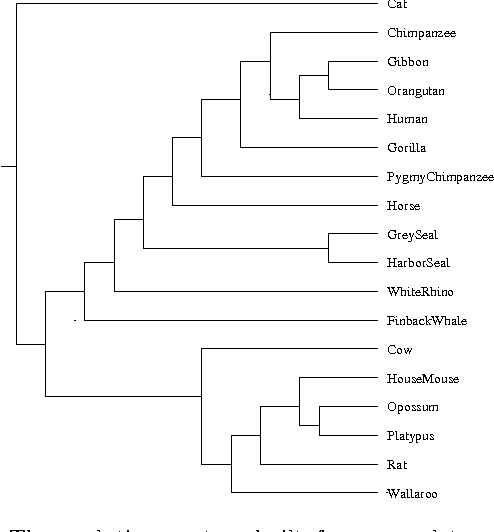 Figure 1 for The similarity metric