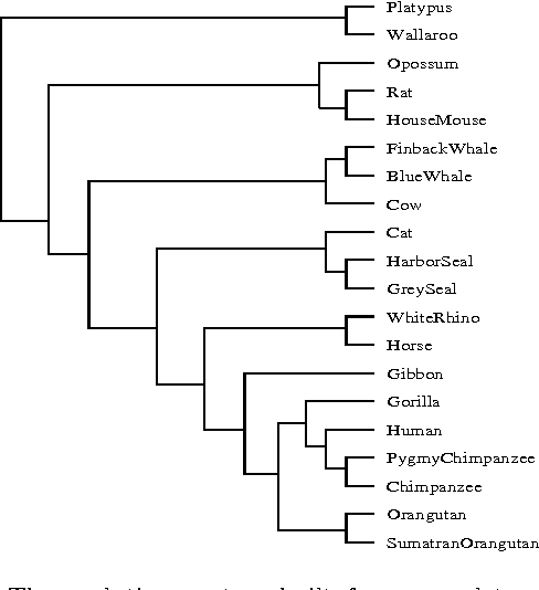 Figure 2 for The similarity metric